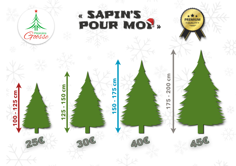 Combien coûte un sapin bio